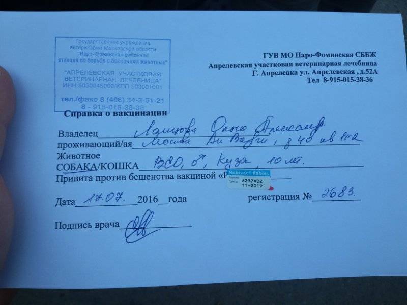 медотвод от прививок